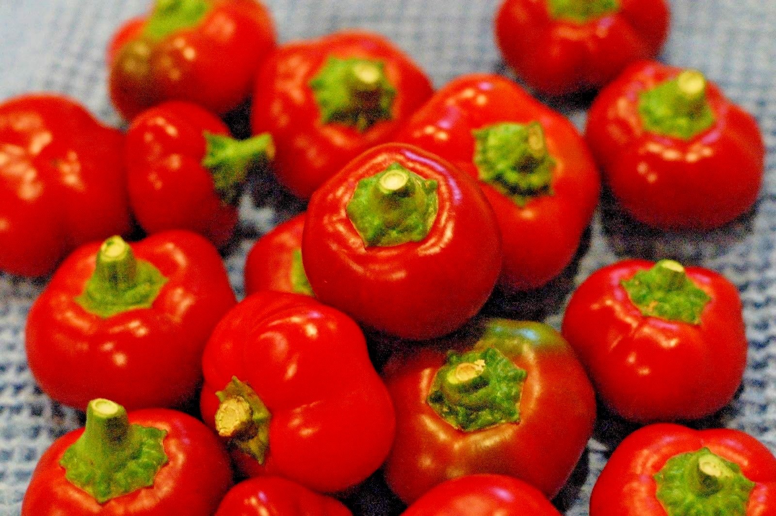 101+Hot Red CHERRY PEPPER Seeds Organic Vegetable Garden Patio Container Easy
