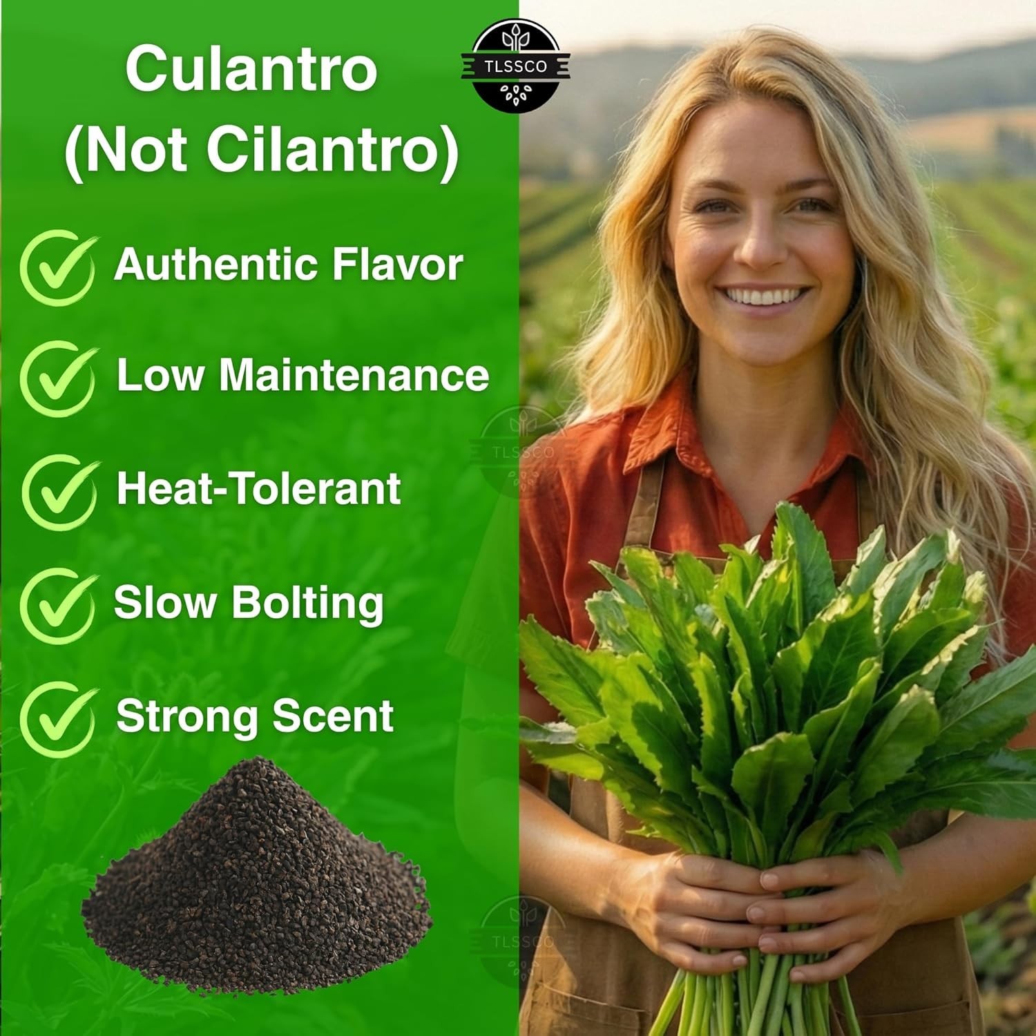 3049+ Culantro Seeds – Heirloom Herb Seeds for Planting, Slow-Bolting, Flavorful