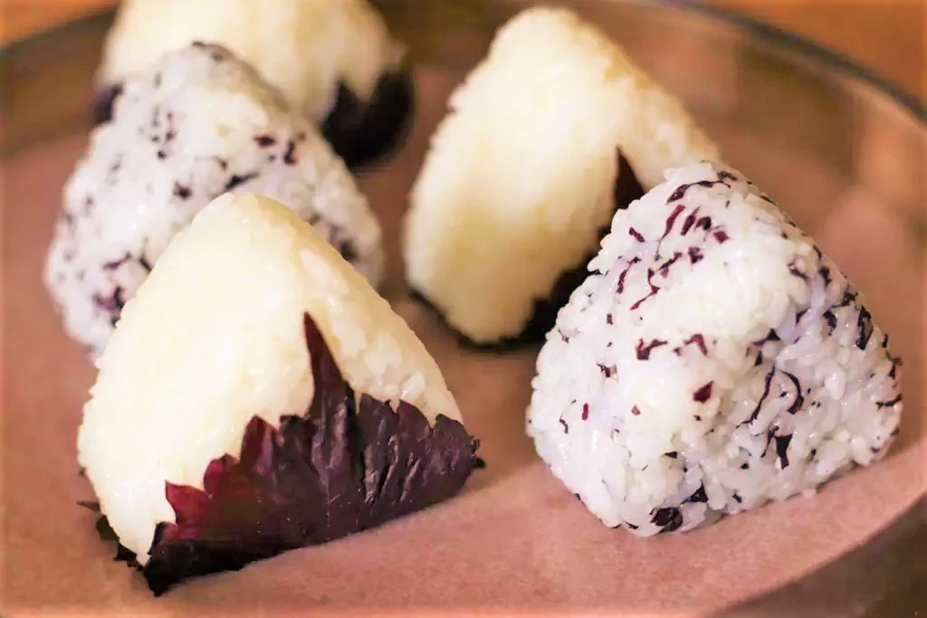 Purple Perilla Seeds | Japanese Red Shiso Aka Asian Mint Basil Herb Seed 2024