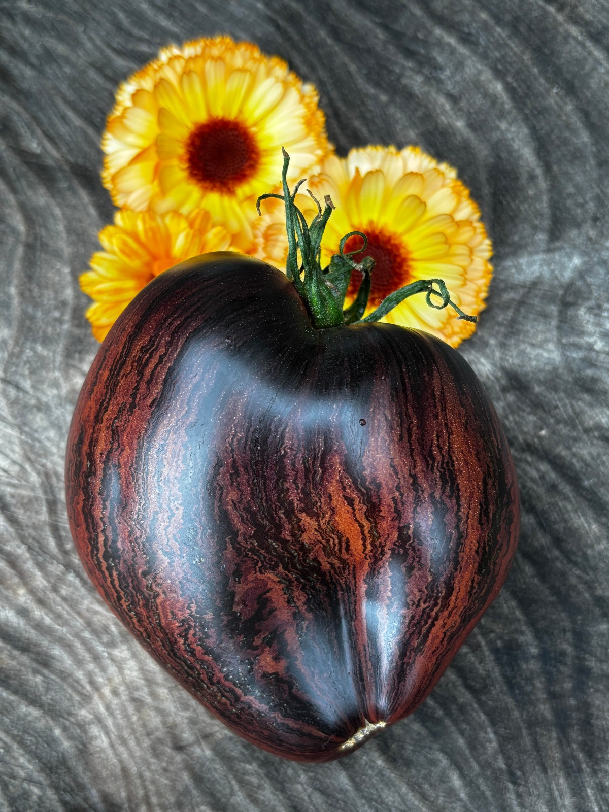 10 seeds Rebel Starfighter Prime Heart Tomato Rare ORGANIC Variety