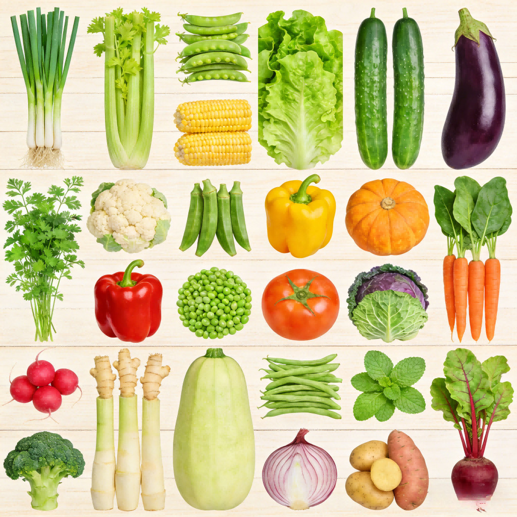 Comprehensive VegetableSeed 9000+Pcs Perfect for Raised Beds Container Gardening