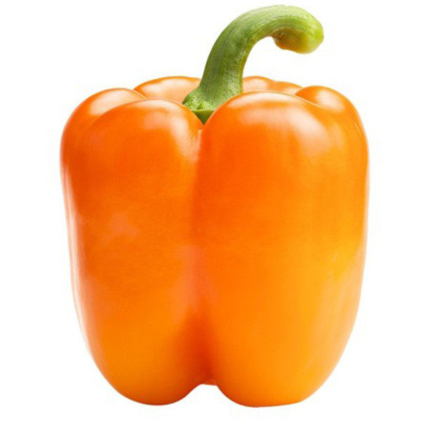 50+ SWEET Heirloom Big Orange Bell Pepper Seeds 2025 Organic NON – GMO