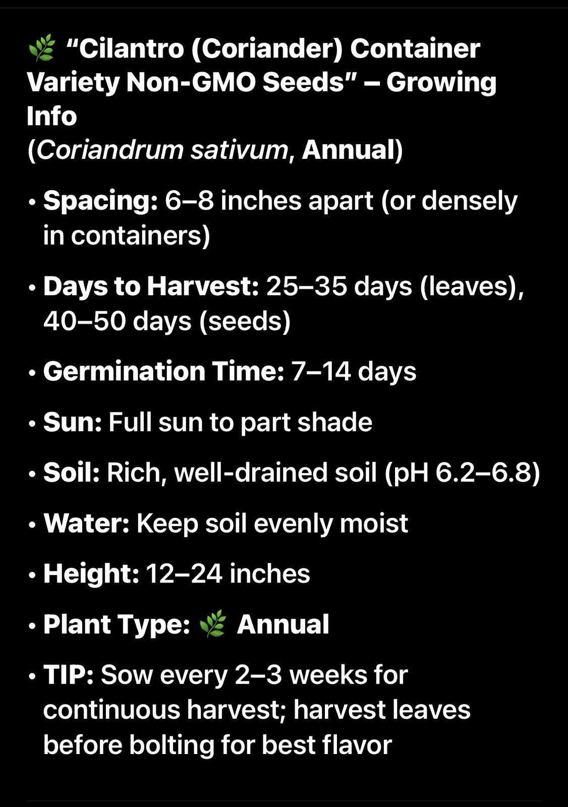 Cilantro Seeds, Coriander, Non-GMO, Fast Growing, Aromatic Herb, Free Shipping
