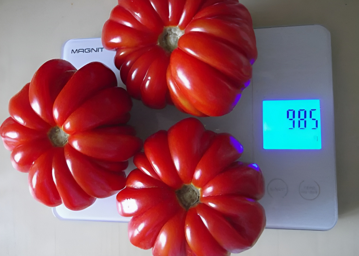 100 Heirloom Rosso Sicilian Tomato Seeds – 14+ oz Unique Shaped Indeterminate