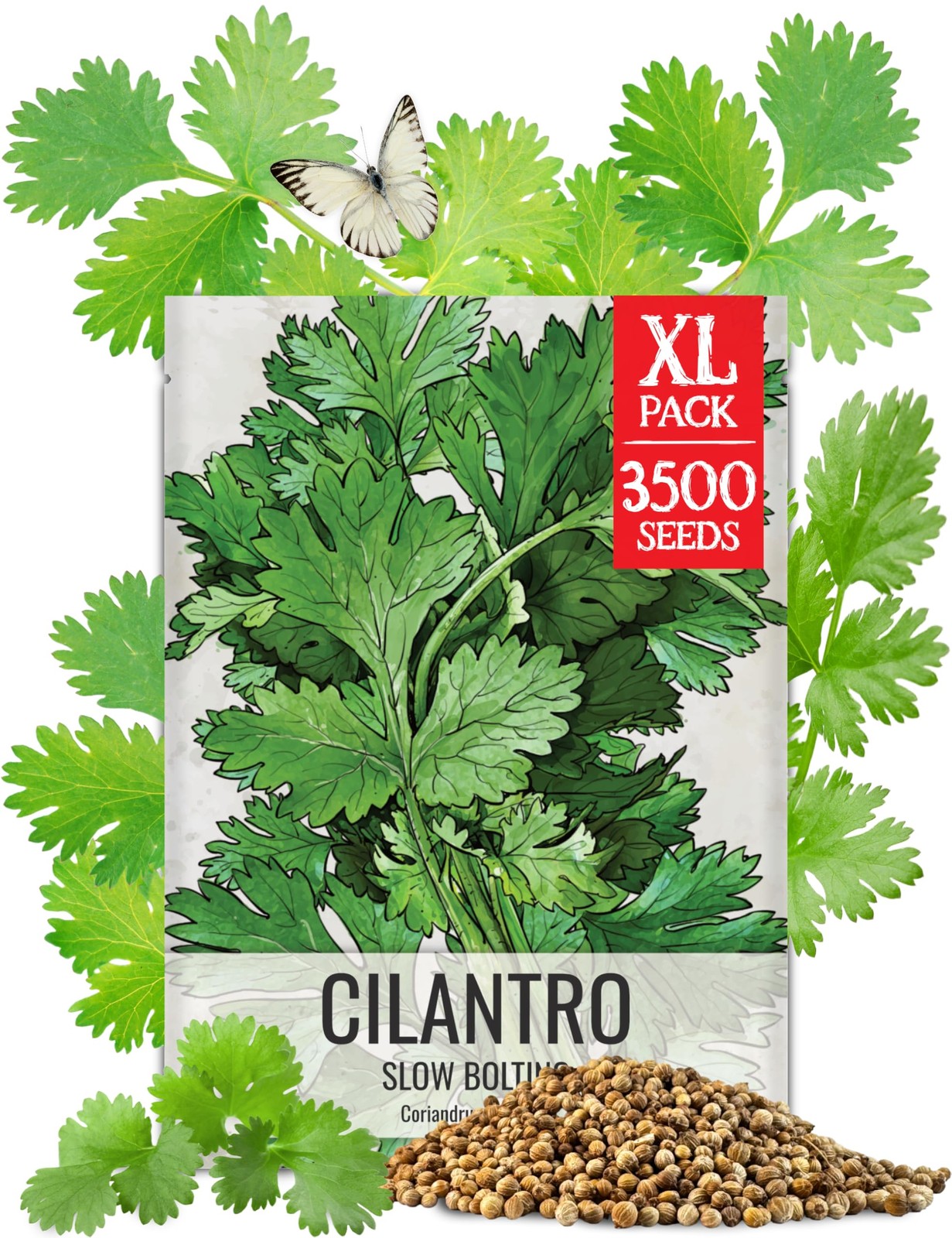 Cilantro Seeds for Planting NonGMO Heirloom Coriander, 1.5 oz Bulk Pack