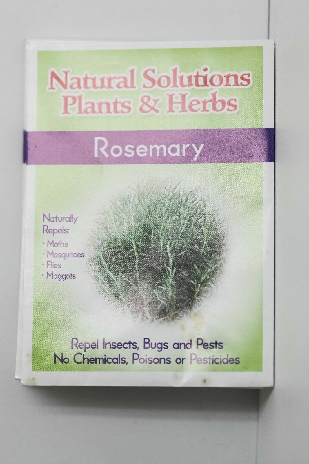 Natural Solutions Plants & Herbs Variety 10 pack of Seeds Holistic Remedies Pest