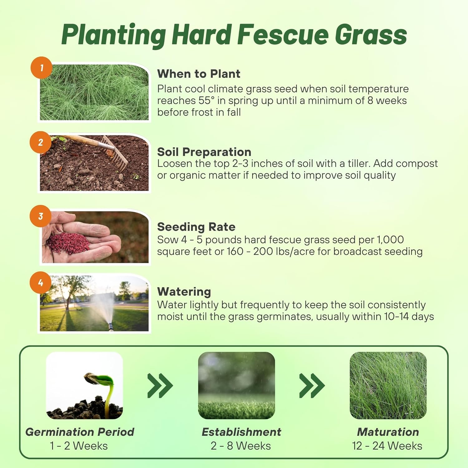 Hard Fine Fescue Grass Seed – 5 Lbs. Low-Growing, Drought & Shade-Tolerant, Opti