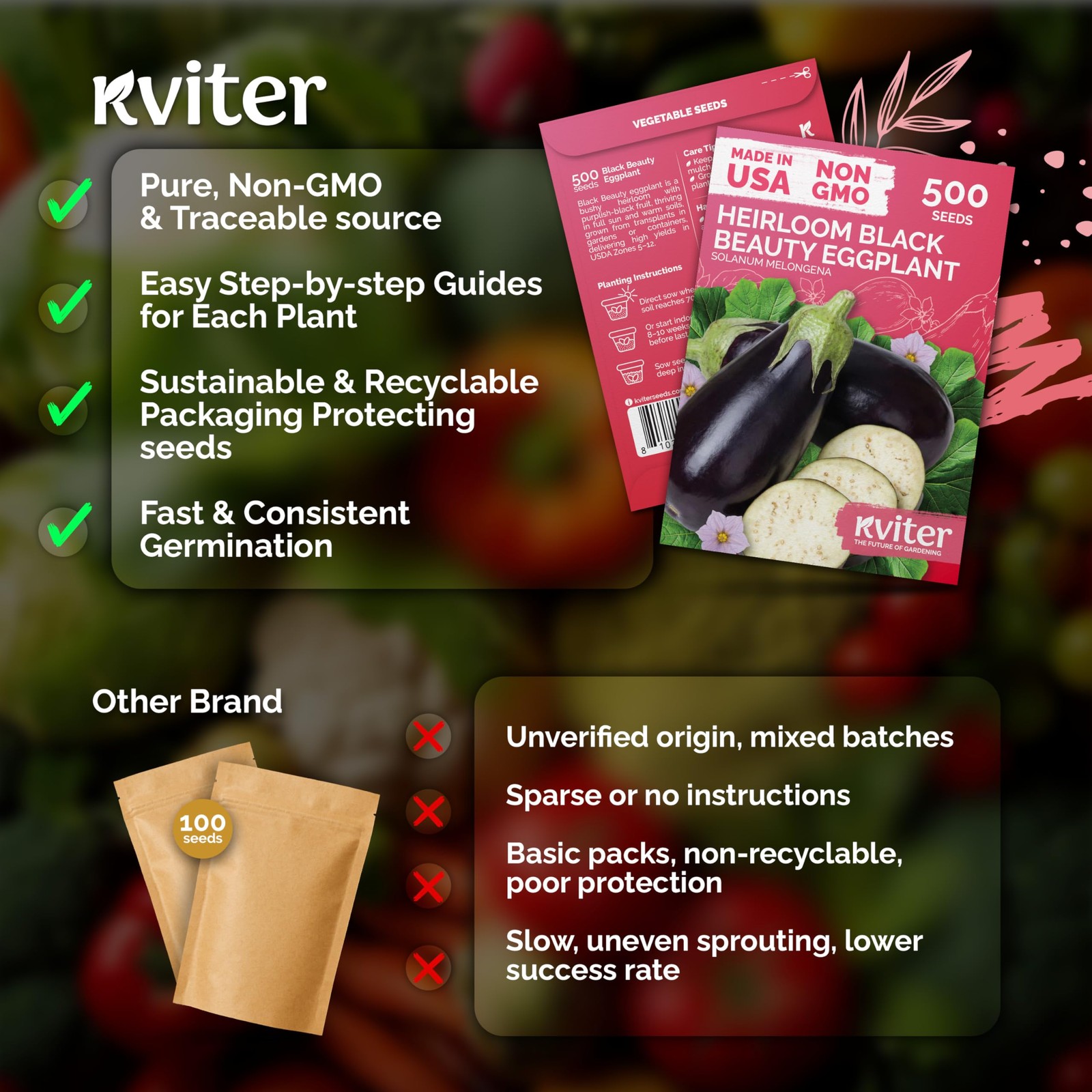 KVITER 500 Black Beauty Eggplant Seeds (Solanum Melongena)