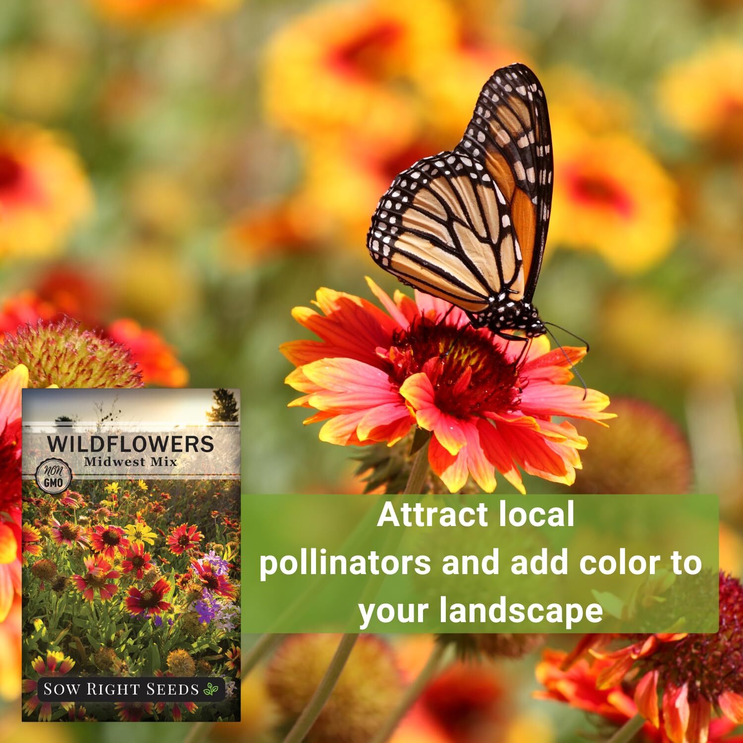 Midwest Wildflowers Seeds Mix Non-GMO Heirloom Perennial Annual Pollinators