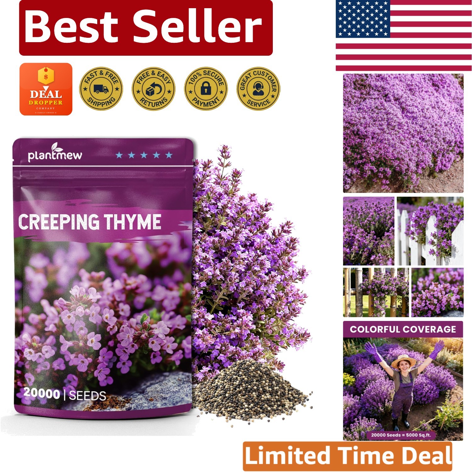 High Germination 20000+ Creeping Thyme Seeds – Low Maintenance Fragrant Cover