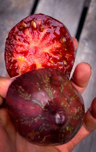 10 seeds Rebel Starfighter Prime Heart Tomato Rare ORGANIC Variety