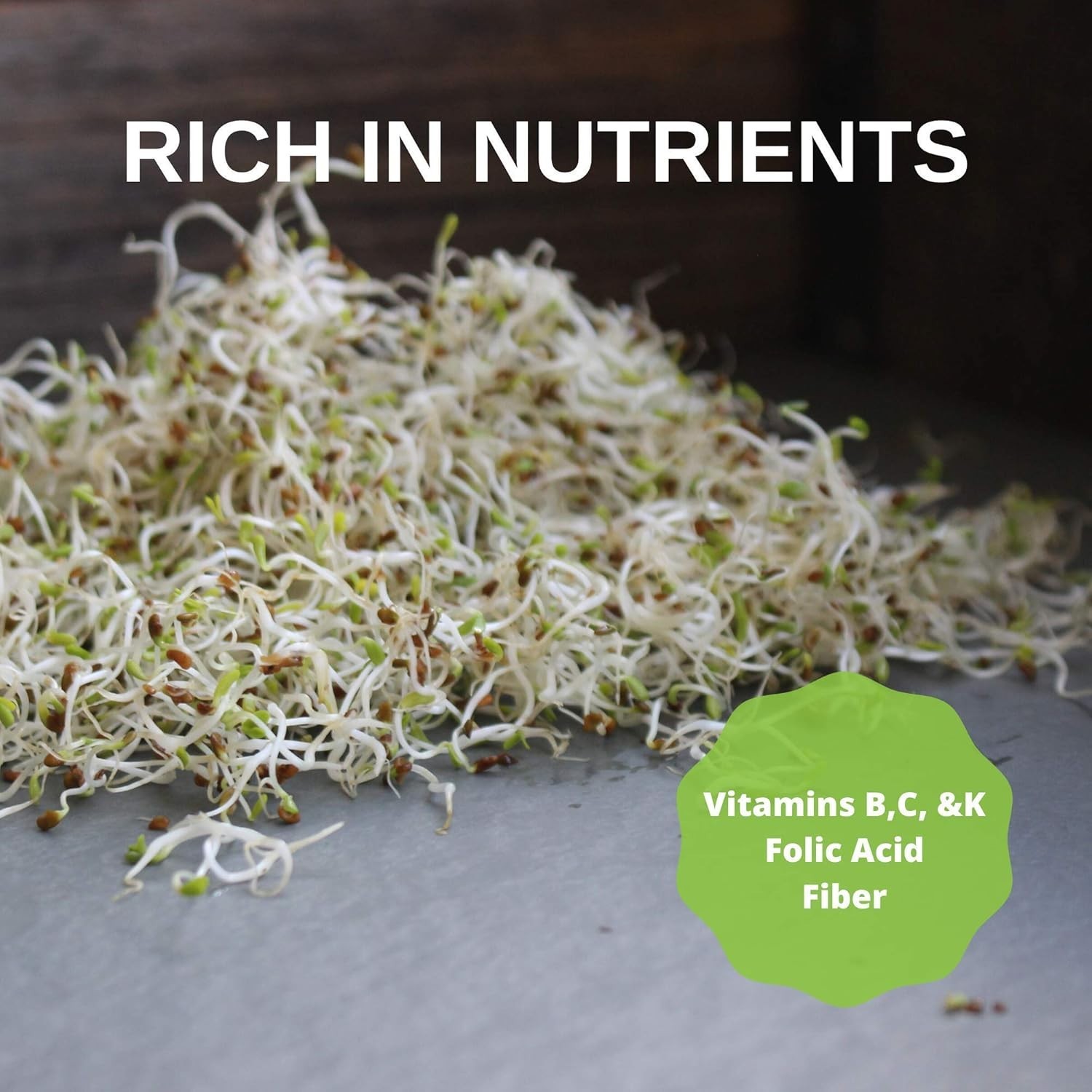 Bulk Organic Alfalfa Sprouting Seed – 2.5 Lbs
