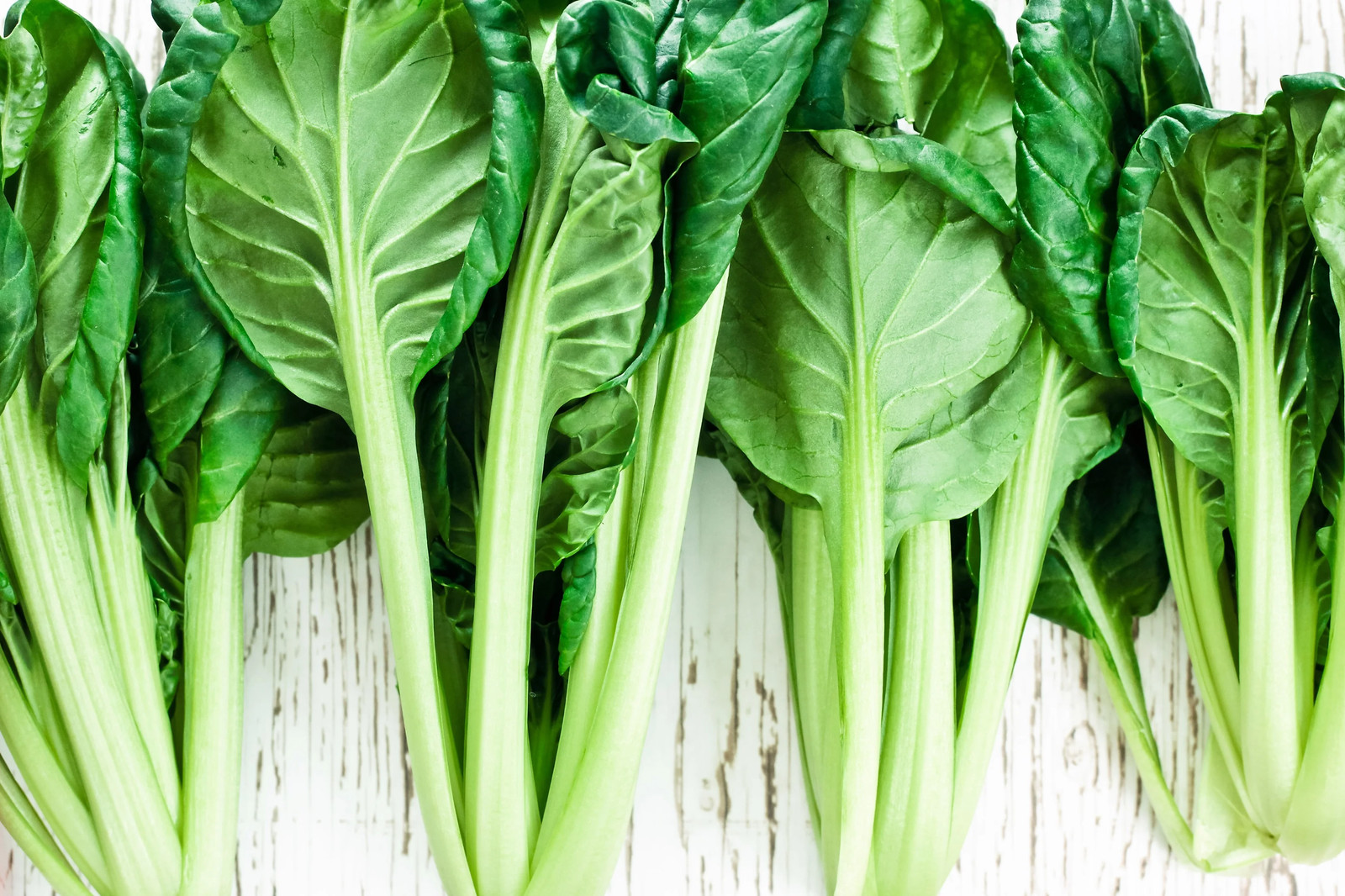 1000 TATSOI Brassica Rapa Rosularis Tat Soi Bok Choy Spinach Mustard Greens Seed