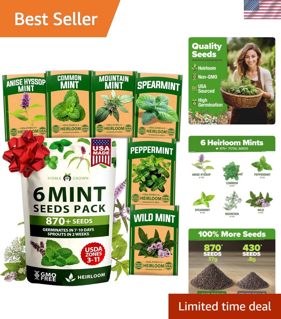 Fresh Mint Seeds Variety Pack – 6 Non-GMO Heirloom Types for -Round Growth