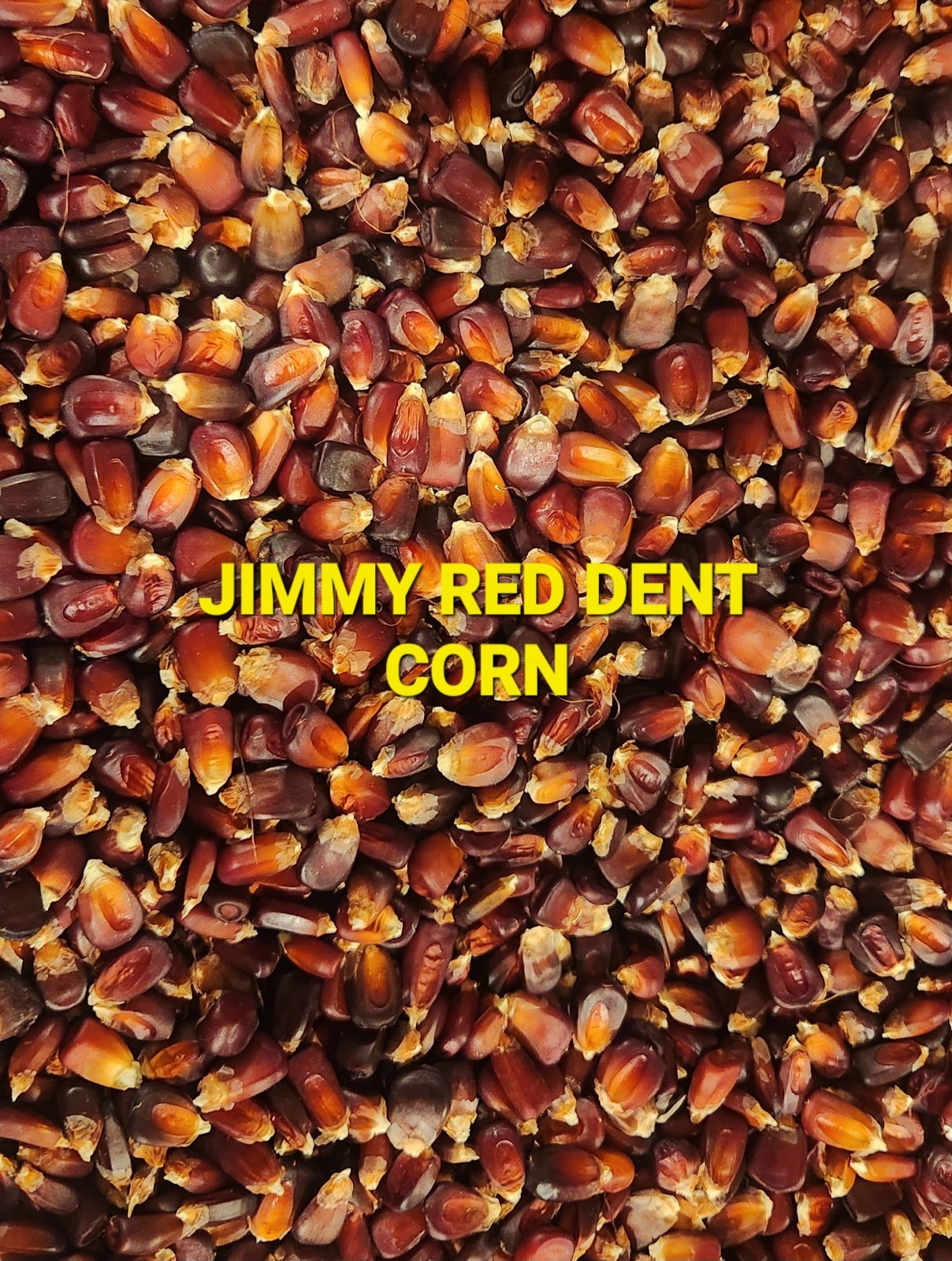 Jimmy Red Corn – Heirloom Dent Corn For Seed or Milling – 1 Pound