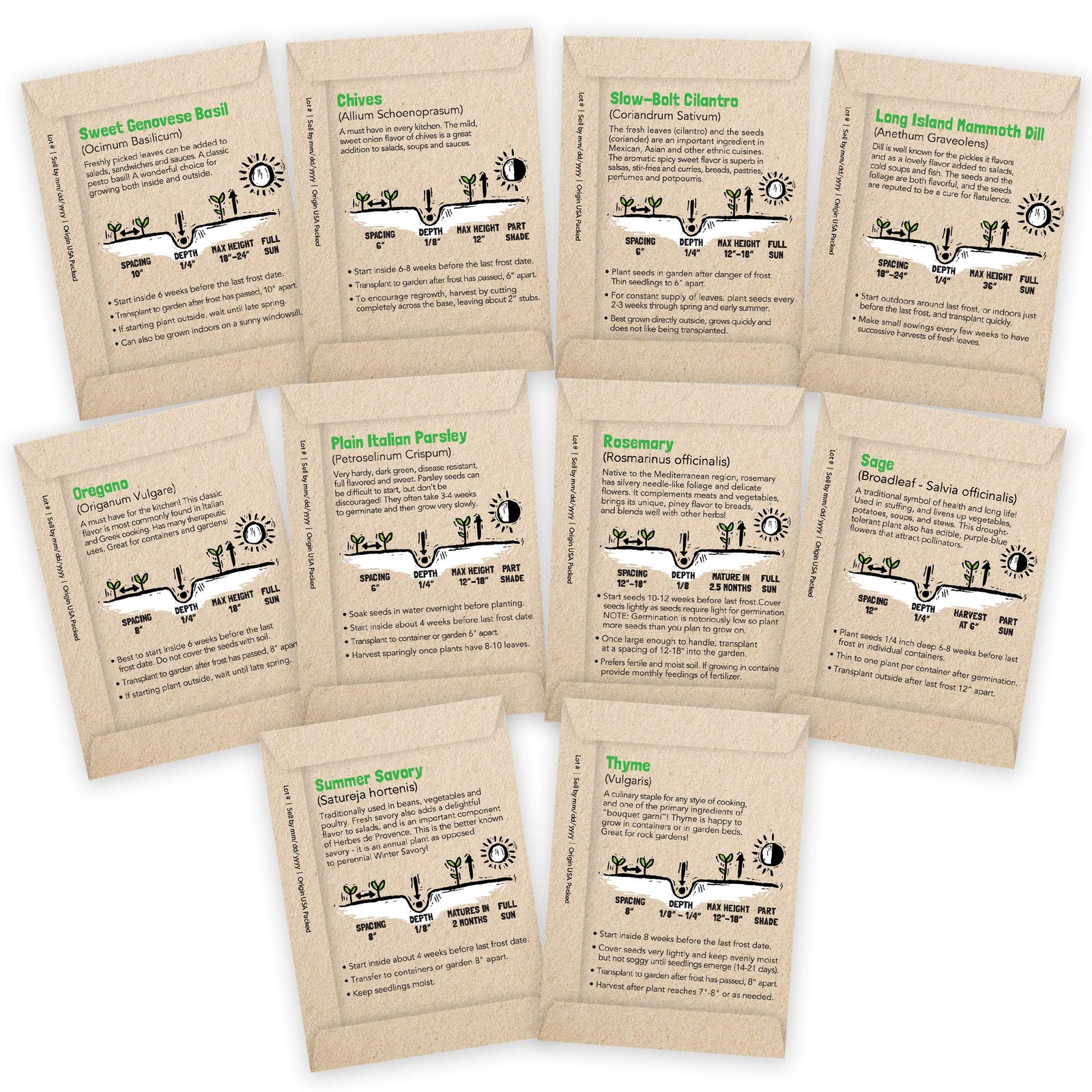 Culinary Herb Seeds Variety Pack: 10 Spice Herbs, Hydroponic Garden Indoors, …