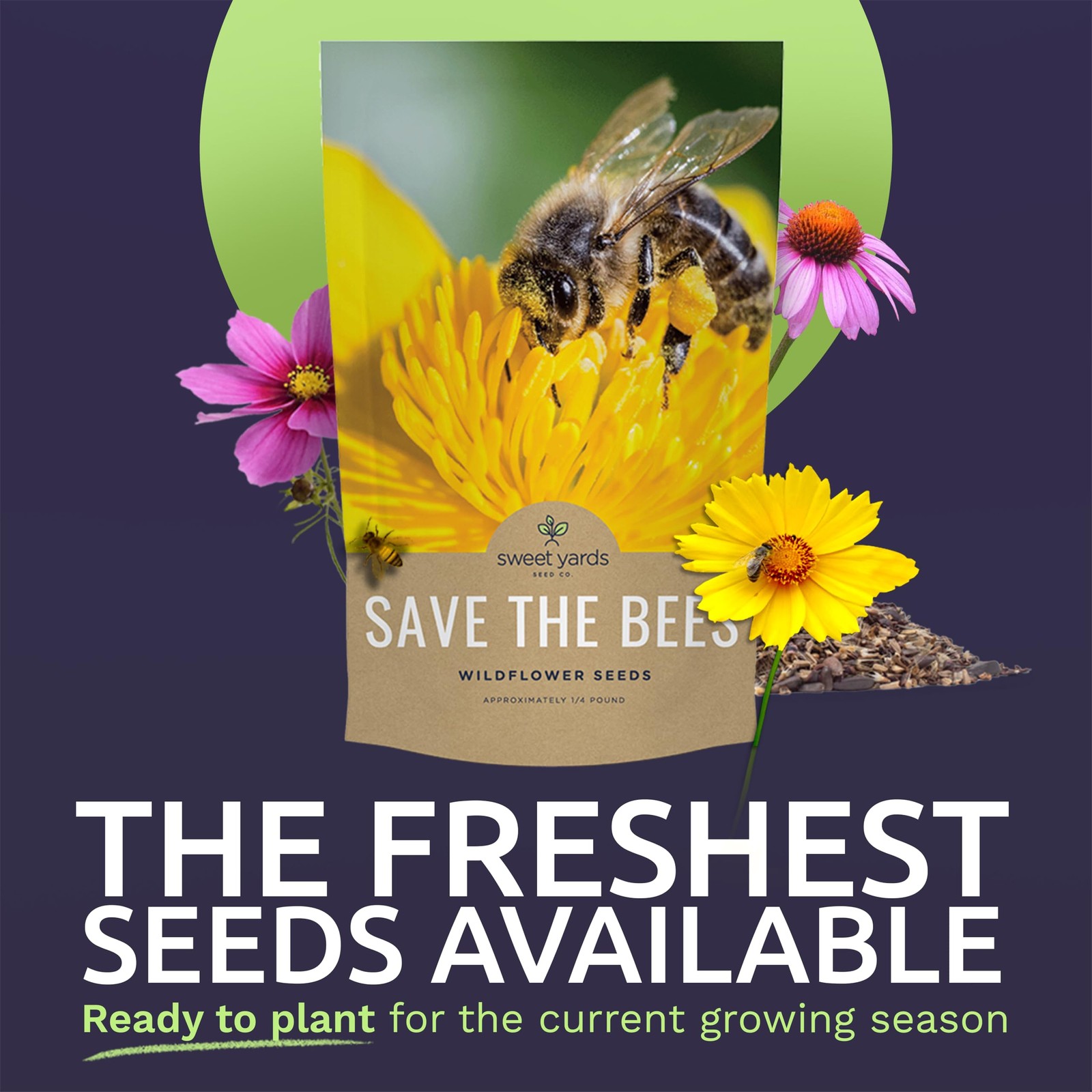 Bee Friendly Wildflower Seed Mix – Bulk 1/4 Pound Bag – Over 30,000 Open Poll…