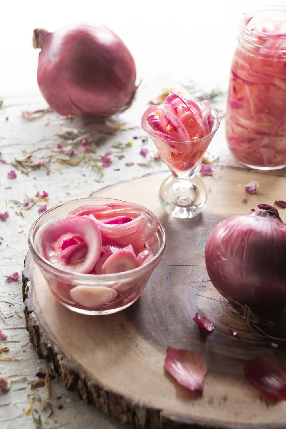 Ruby Red Onion Seeds | Allium Sepa Long Day Scallion Green Vegetable Seed 2024