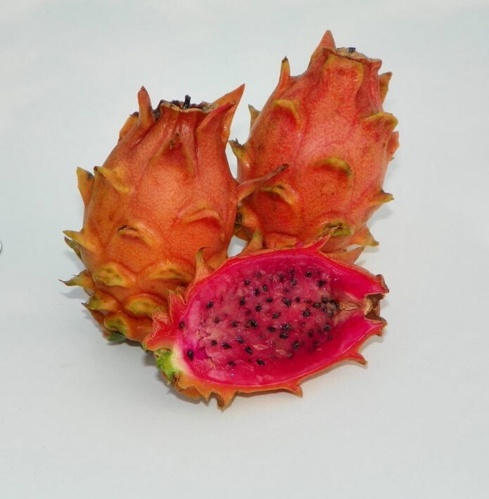 ULTRA RARE Black Dragon Fruit 12″ (1)+Frankie Red 12″(1) flesh cutting