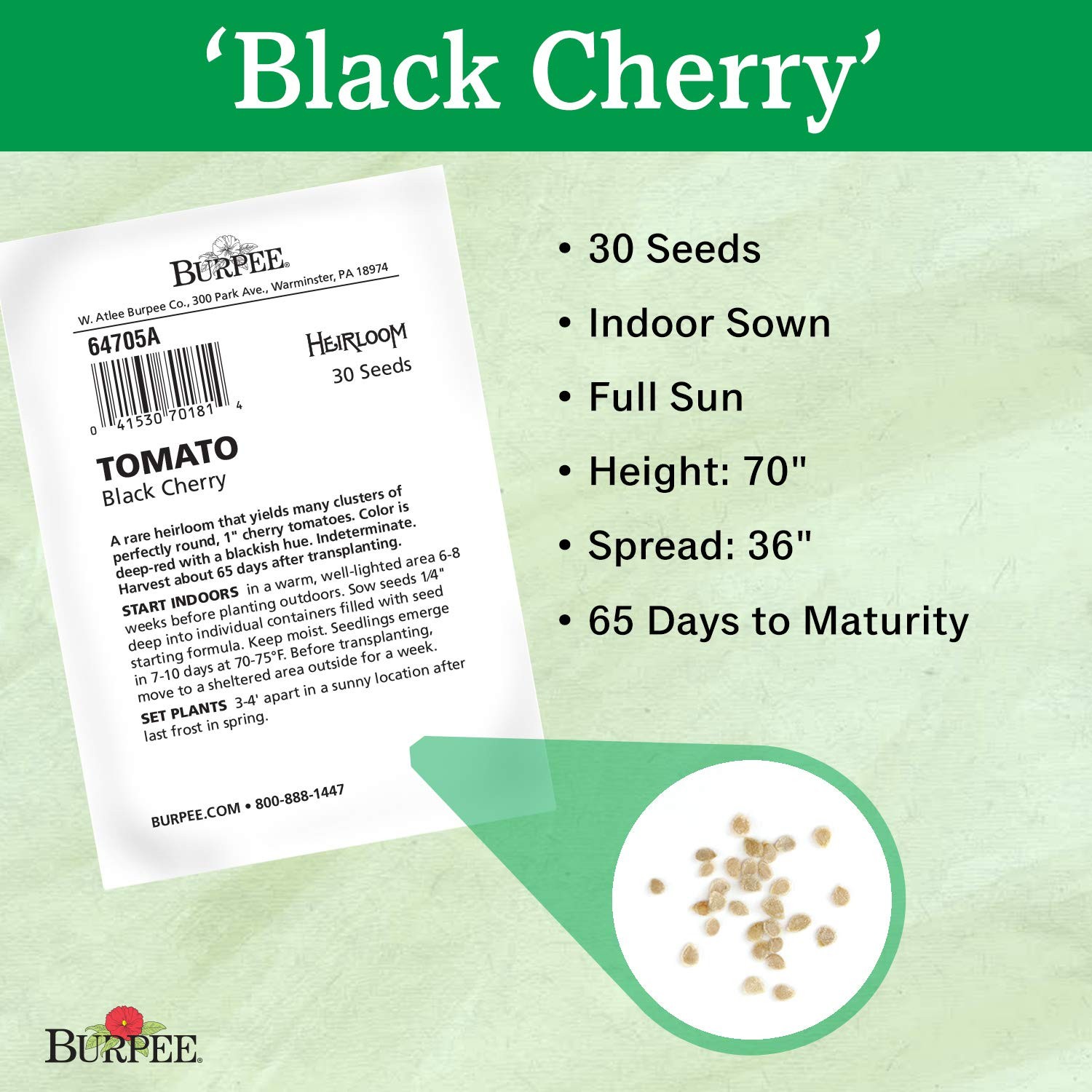 ‘Black Cherry’ Tomato, Purple Cherry Tomato, Sweet Rich Flavor, 30 NonGMO Seeds