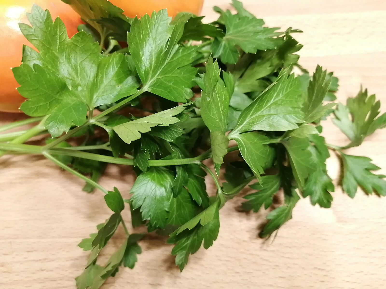 Hundredfold Italian Dark Green Flat Leaf 1000 Parsley Seeds Petroselinum crispum