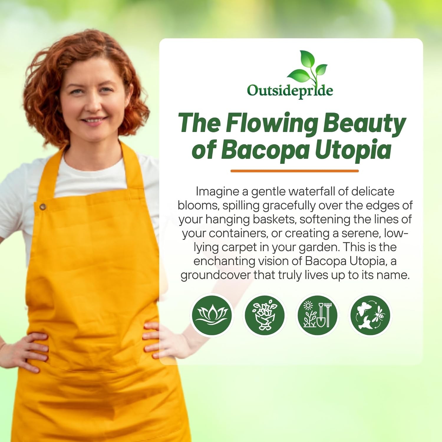 20 Seeds Bacopa Utopia Fuseables – Trailing Bacopa Flower Seeds