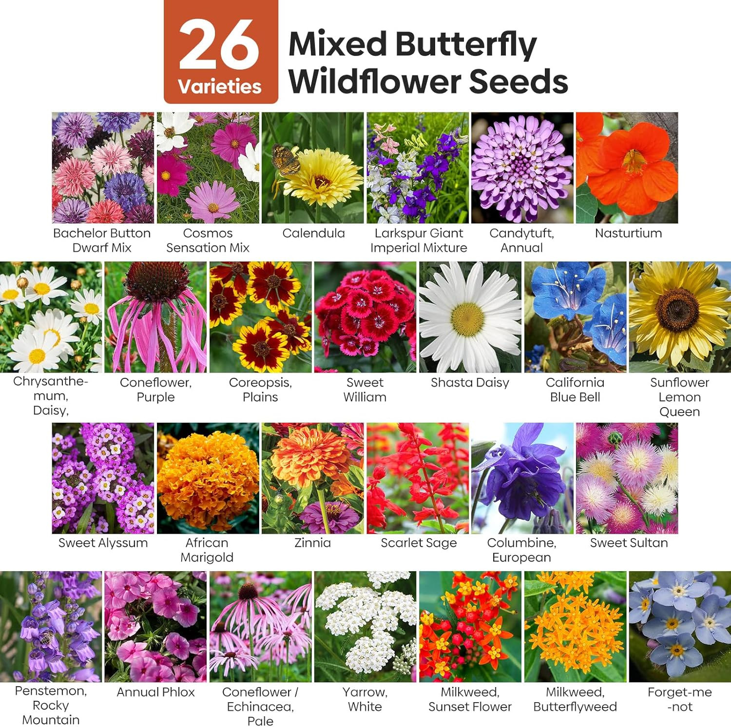 All Perennial Wildflower Seeds Bulk, 1/4 lb, 100,000+ Seeds, 26 Variety Mix with