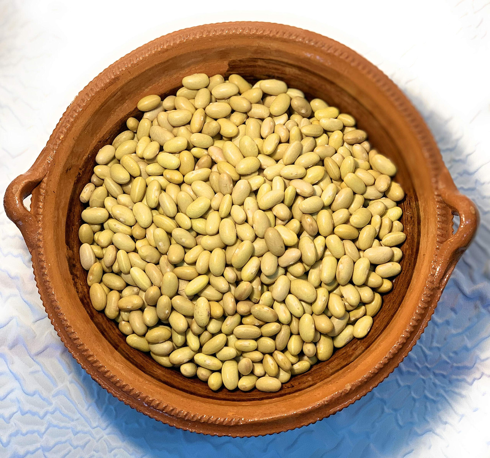 Peruvian Bean Seeds (25) / Peruano / Mayocoba Canary Bean / ORGANIC / BUSH BEAN
