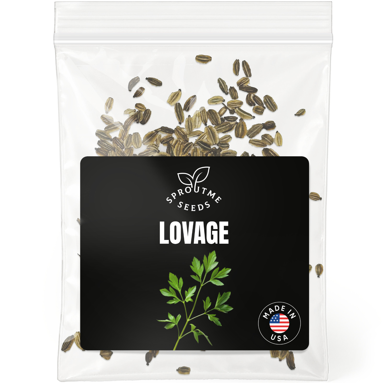 Lovage Seeds 200+, Heirloom Non-GMO, Perennial Celery Flavor Culinary Herb