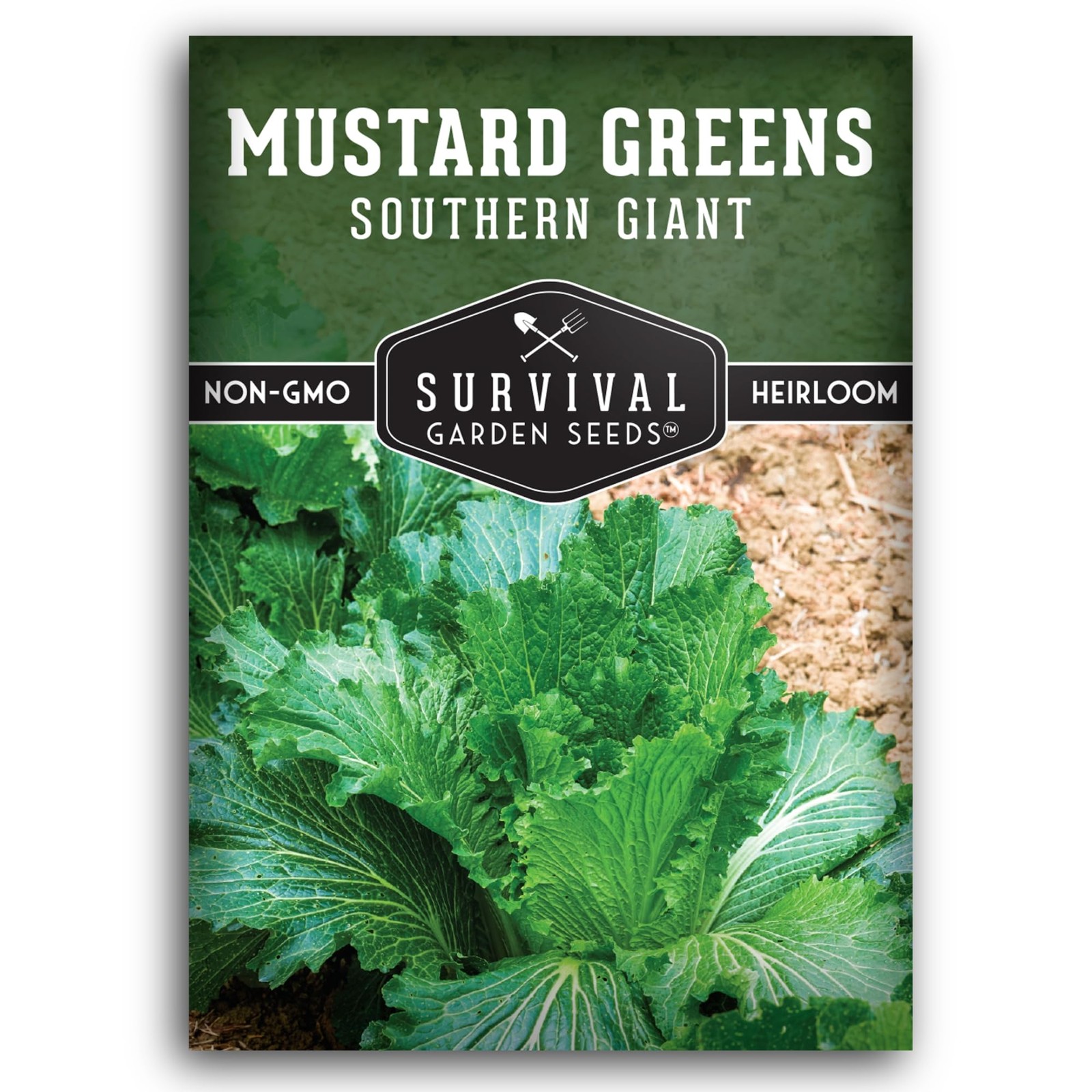 Giant Mustard Greens Seeds Heirloom Non GMO Spicy Heat Tolerant Slow Bolt Garden