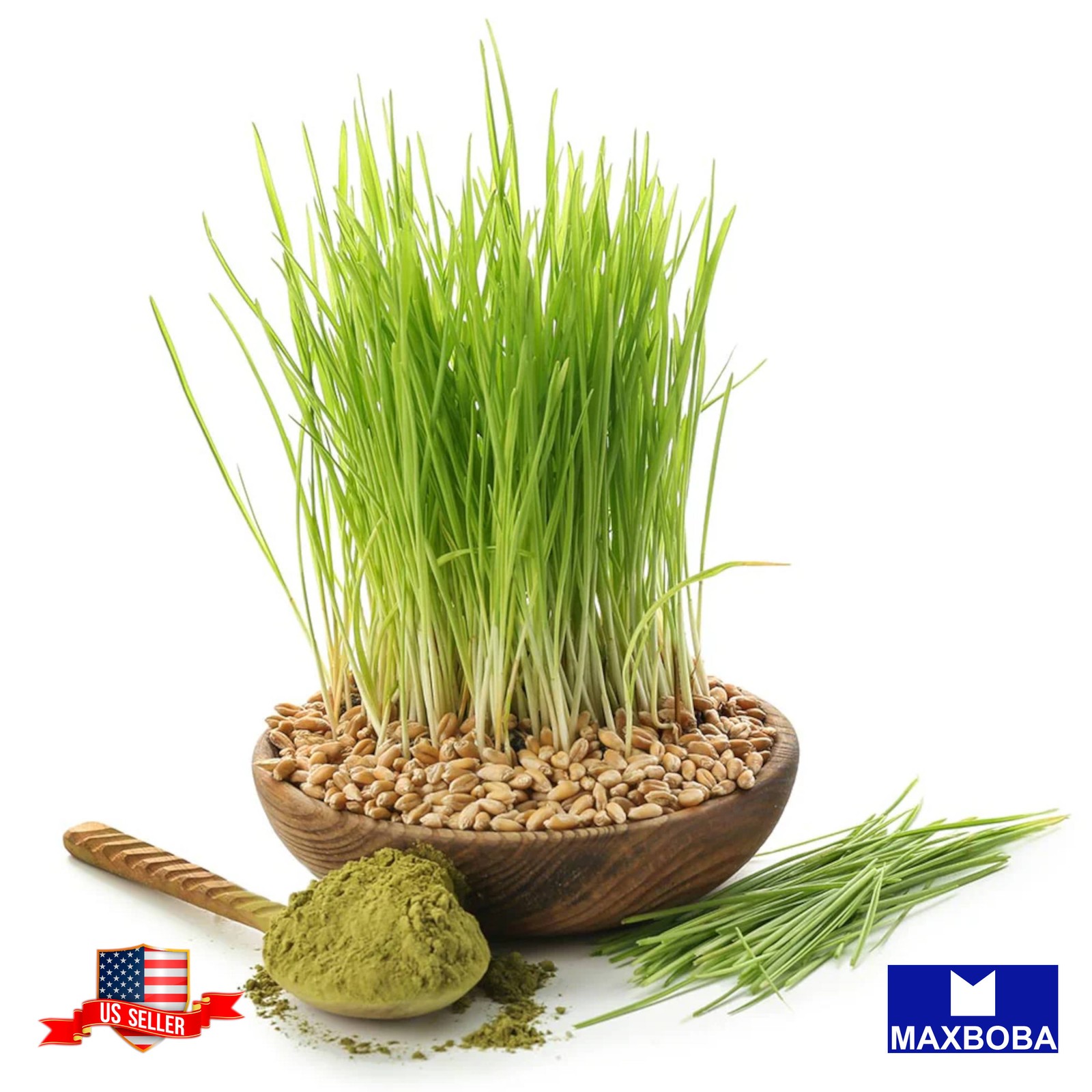 600 Barley Whole (Organic) Grass Seeds Non-GMO BOGO 50% OFF