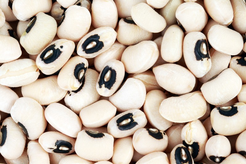 80 Non-GMO Black-eyed Bush Beans (Black-eyed Peas, Cowpeas) – Free Shipping