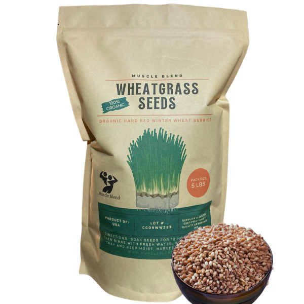 BULK Organic Wheatgrass Seeds Hard Red Winter Wheat Berries 5-Pounds, USA