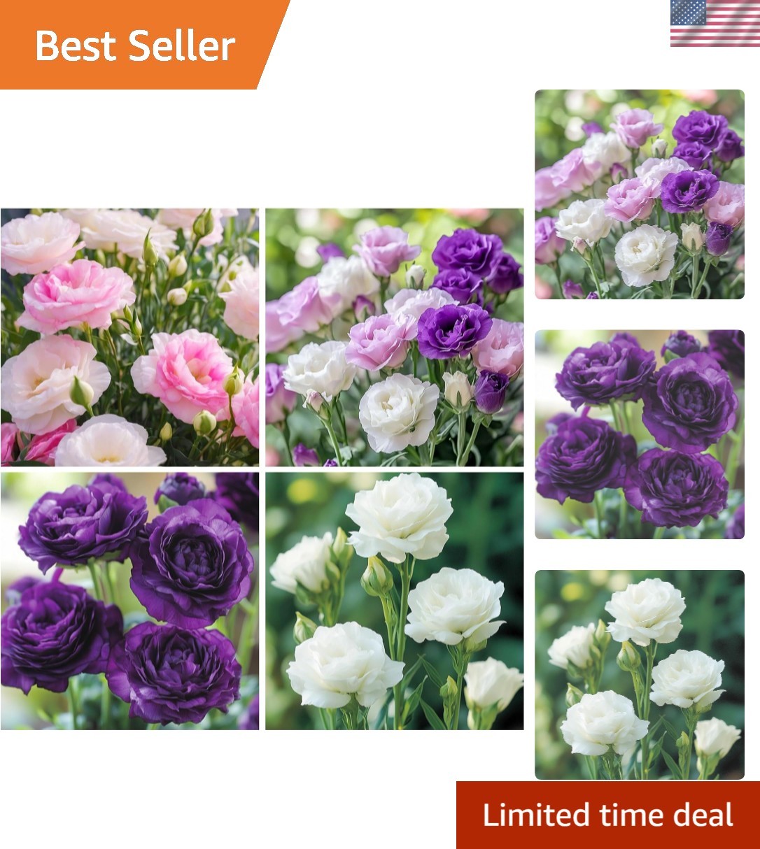 Vibrant 300+ Mixed Lisianthus Flower Seeds – Attract Pollinators & Beautify G…