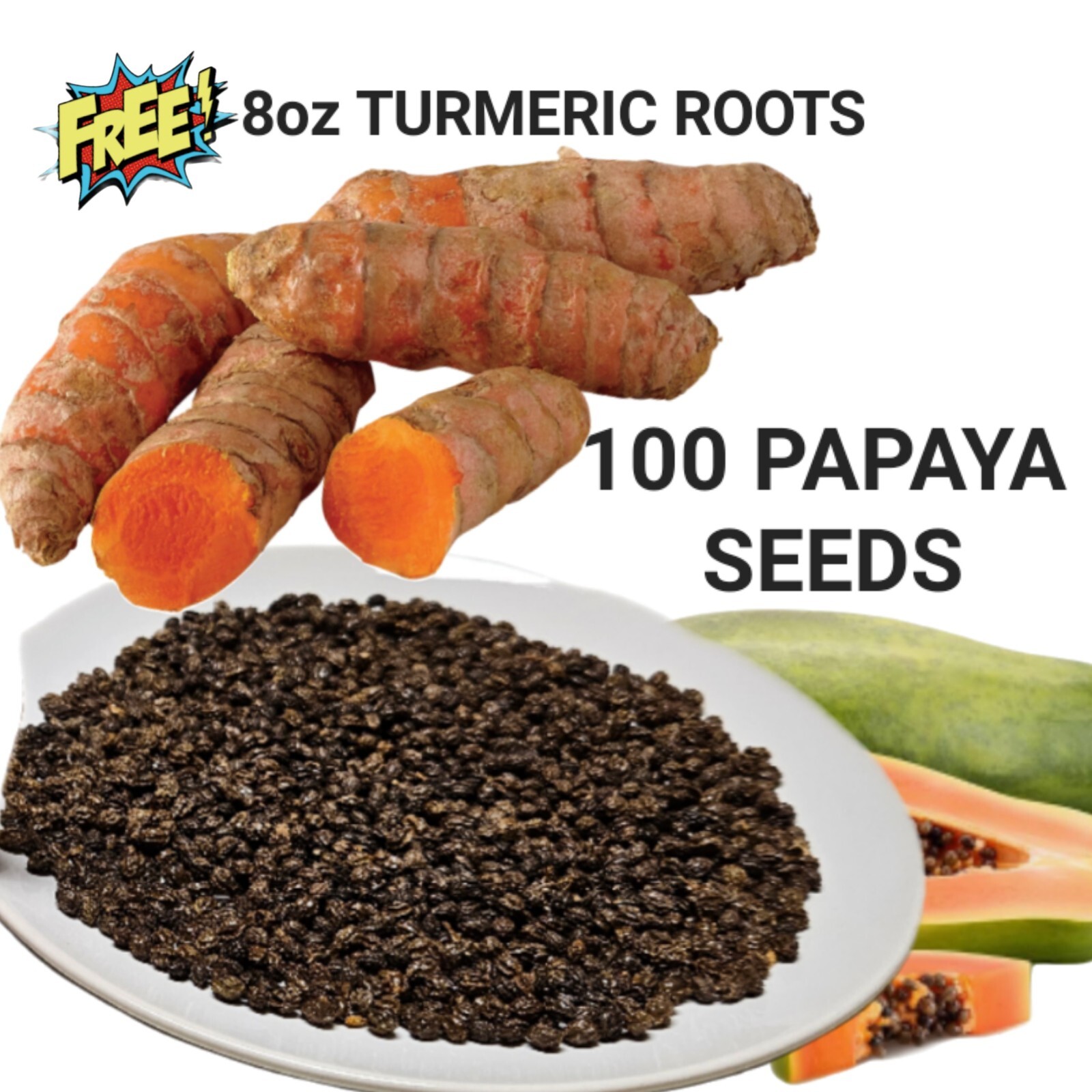100 Papaya Seeds FREE 8oz TURMERIC Roots, Healthy, Carica, Curcuma Longa, Herb