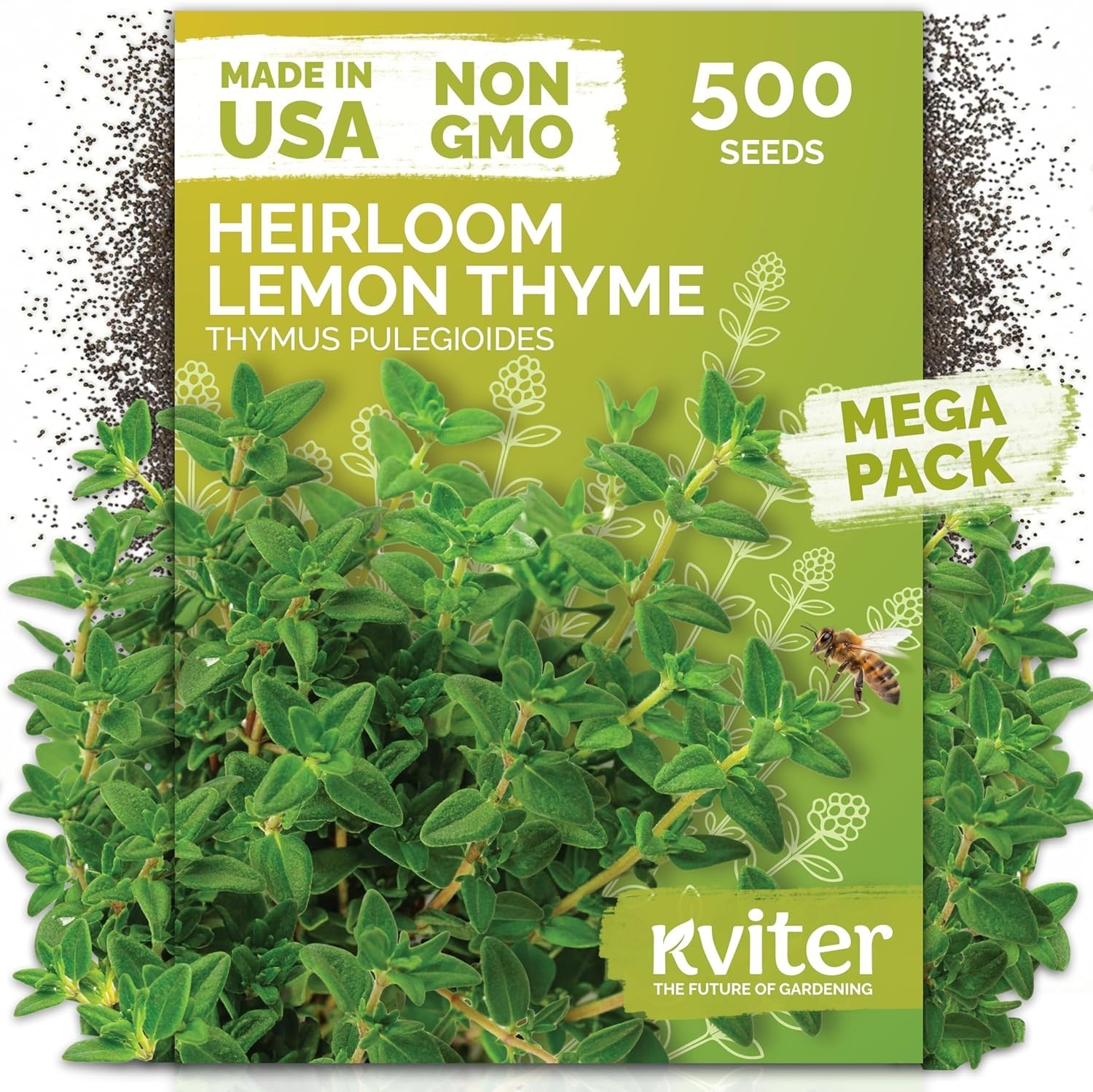 500 Lemon Thyme Seeds for Planting Thymus Pulegioides – Wild Creeping Thyme S…