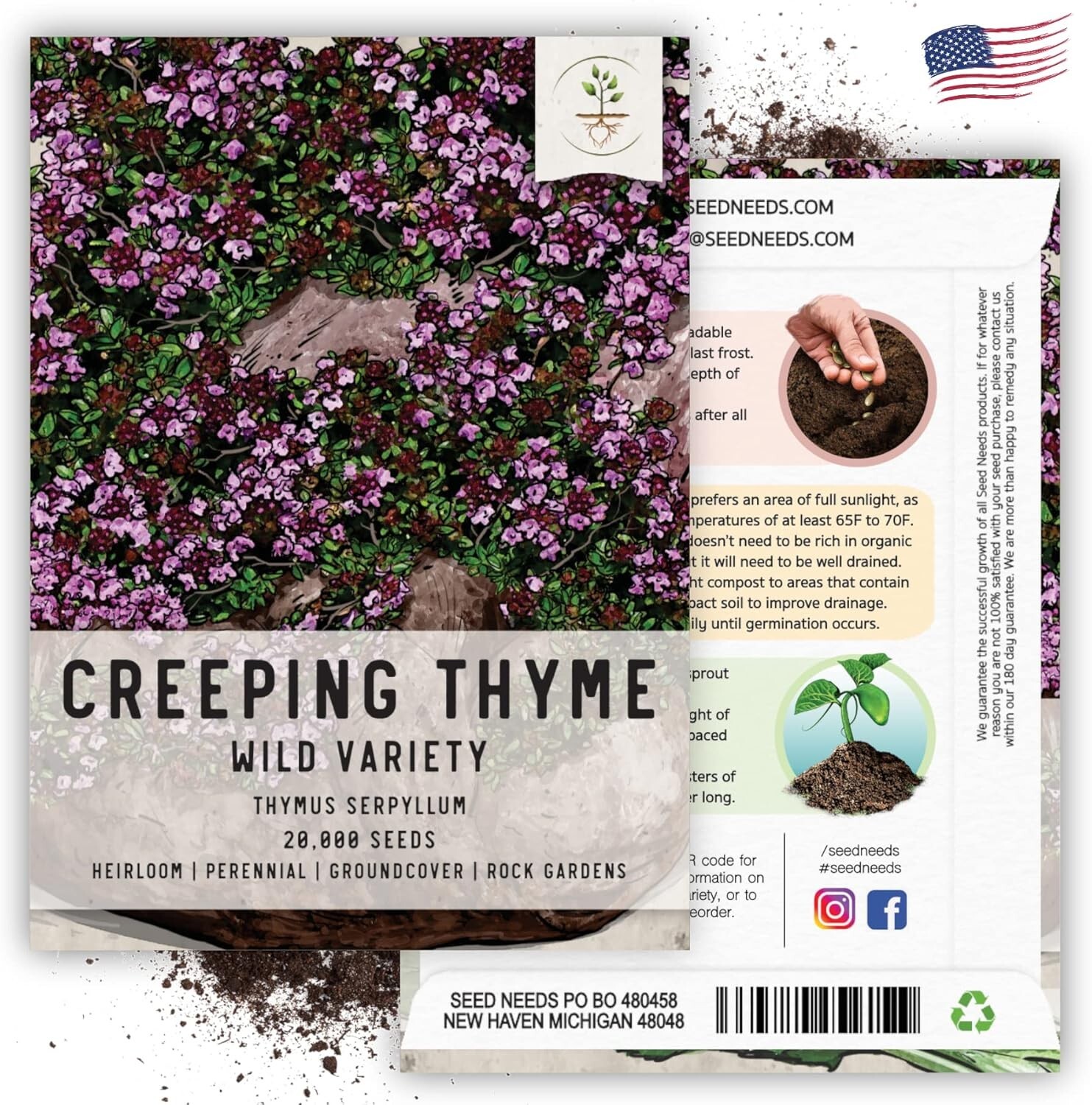 40,000 Heirloom Wild Creeping Thyme Seeds for Vibrant Rock & Butterfly Gardens
