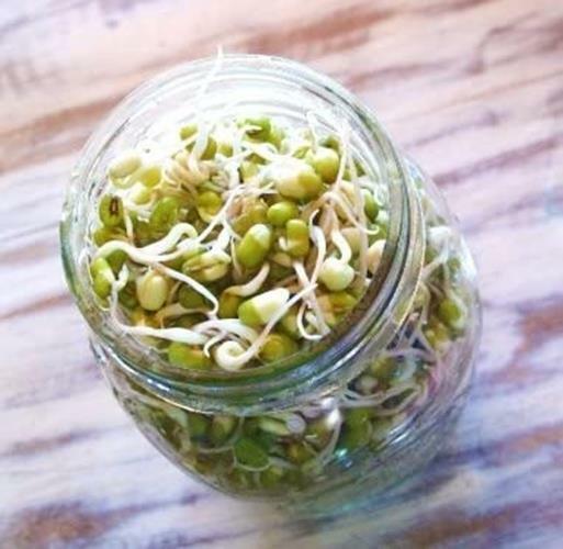 4 oz Mung Bean