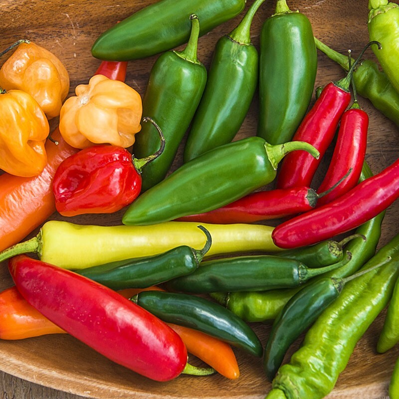25+ Hot and Happy Pepper Mix Seeds — Heirloom ——— Large Assortment