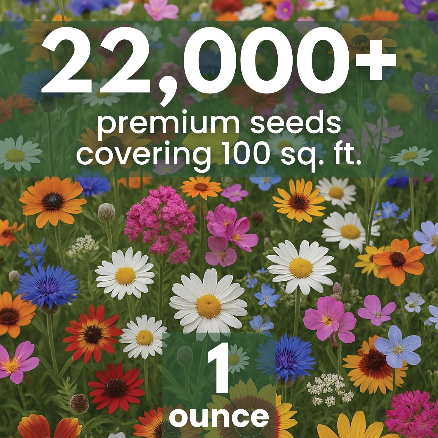 Drought Tolerant Mix – 22,000 Seeds for Planting – 2026 Season – 1 Ounce Pouch
