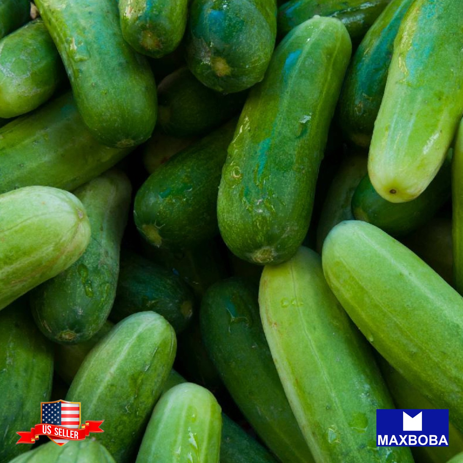 Cucumber 100 Seeds Marketer Non-GMO Heirloom Vegetable BOGO 50% OFF