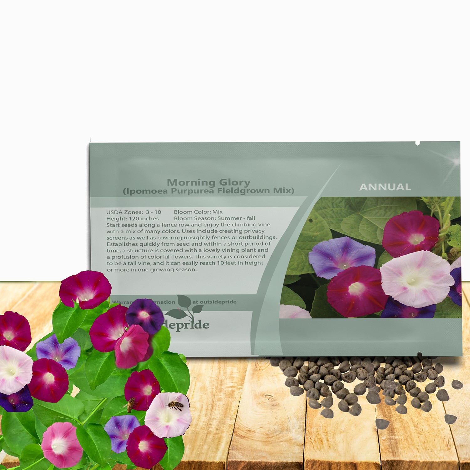 250 Seeds Morning Glory Seed Mix For Planting Outdoors – Ipomoea Purpurea