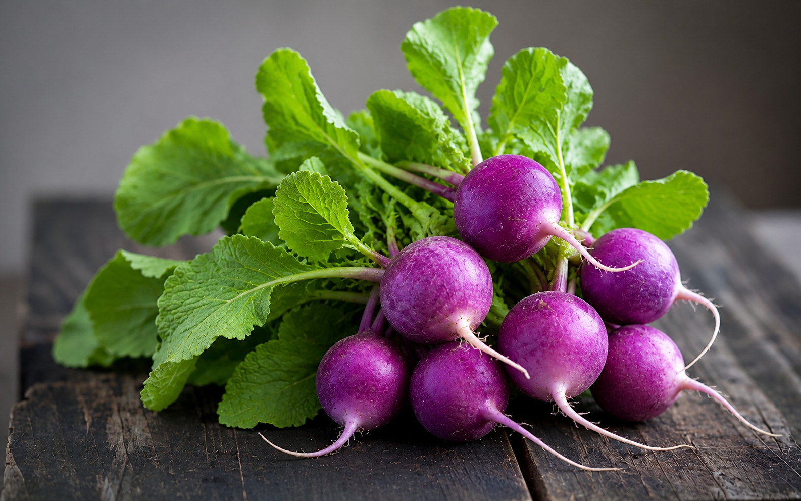 600 Organic Heirloom Rainbow Radish Seed Mix – 5 Color 25-30 Day Harvest NonGMO