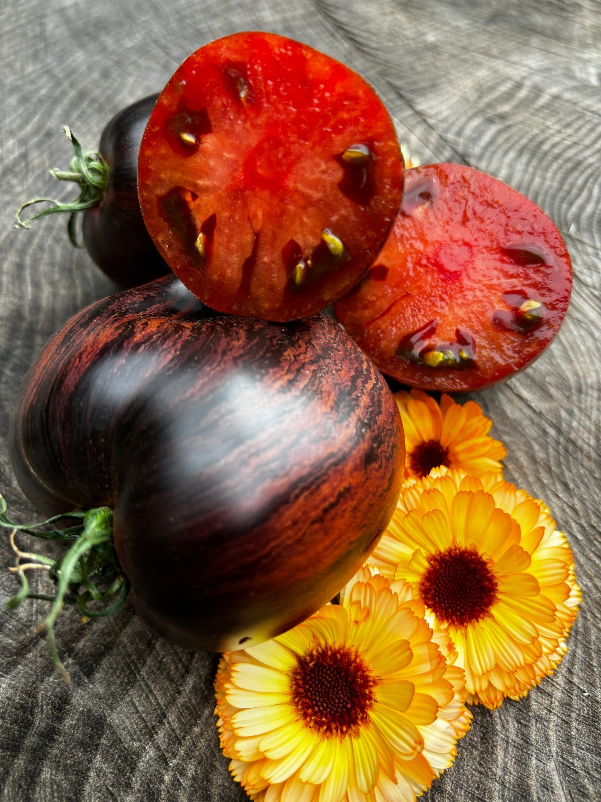 10 seeds Rebel Starfighter Prime Heart Tomato Rare ORGANIC Variety