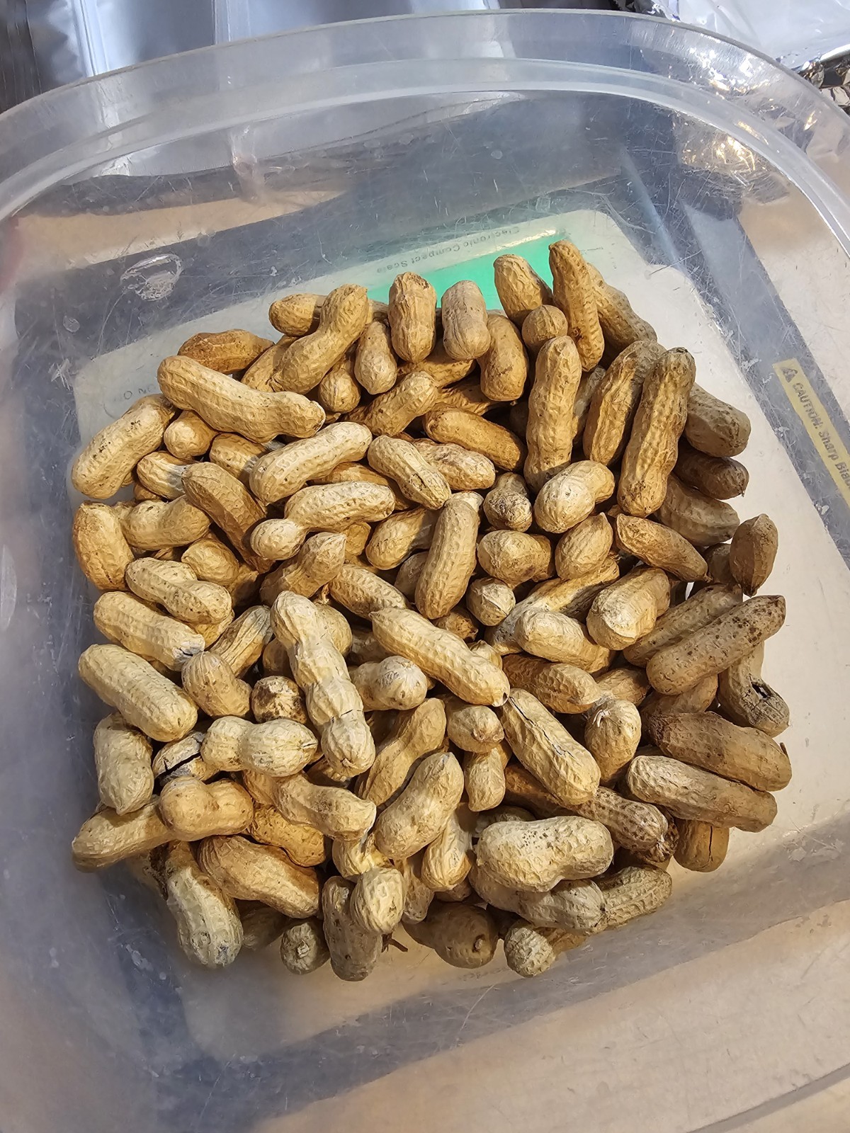 1 Pound (700 Shelled) Tennessee Red Valencia Peanuts In Shell