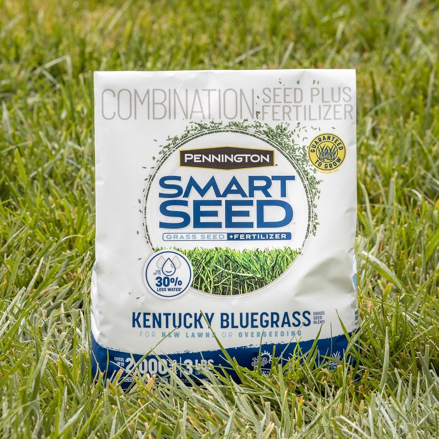 Smart Seed Kentucky Blue Grass Mix 3 lb