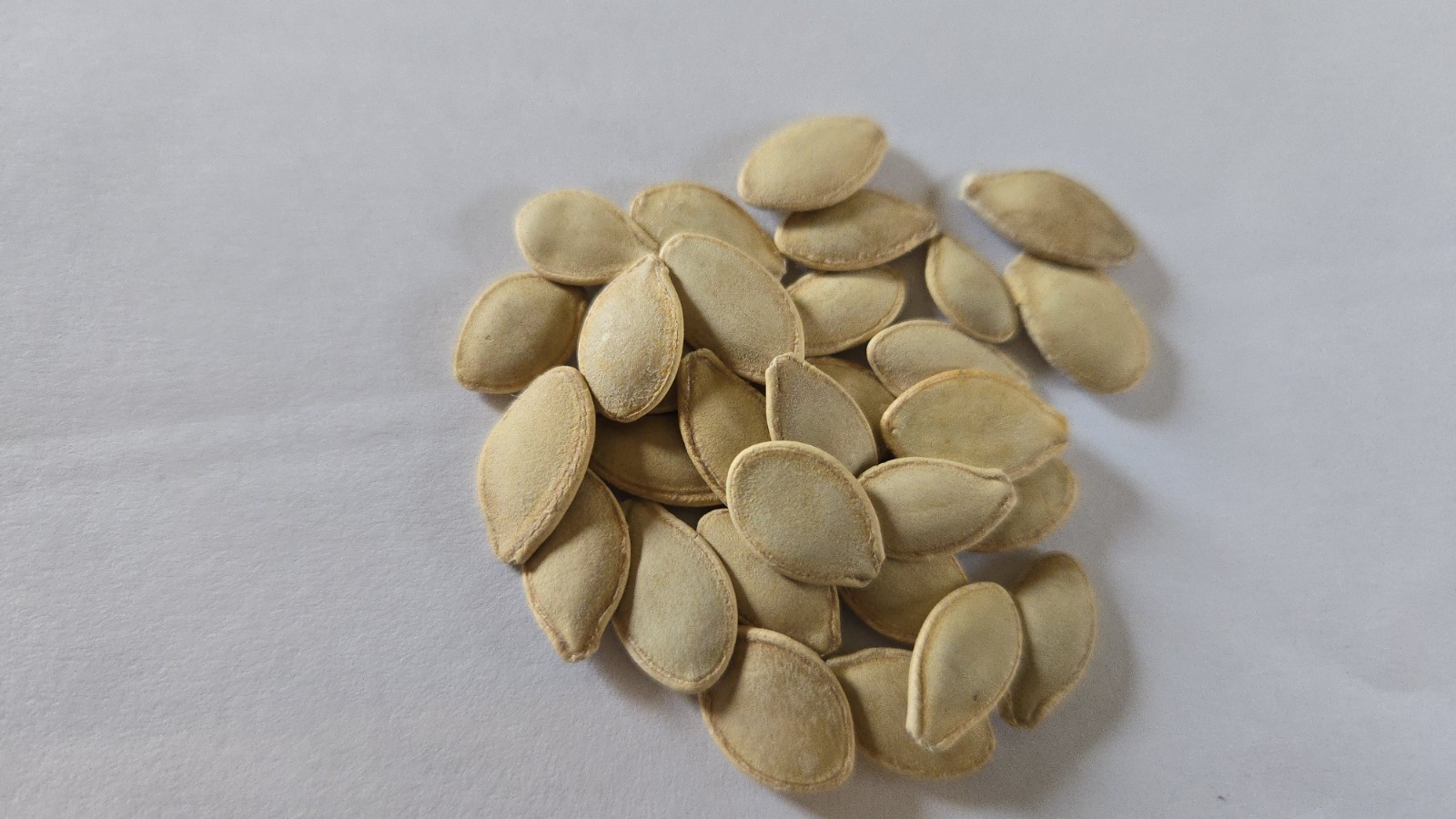 Summer Squash 30 Seeds Early Summer Crookneck