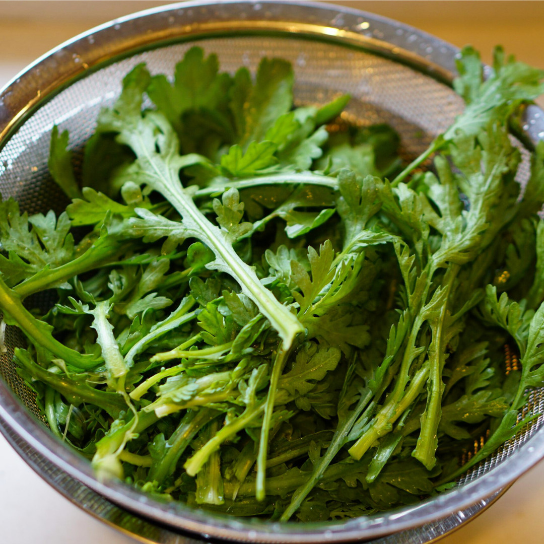 Fresh Chrysanthemum Greens Seeds | Tong Hao | Heirloom Non-GMO | Asian Vegetable