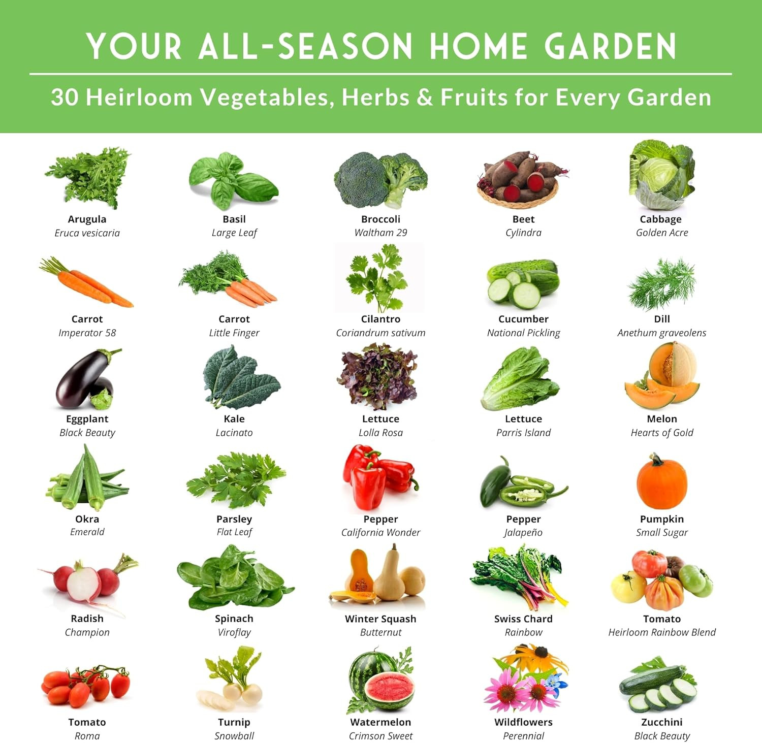 Home Garden Vegetable Seeds 30 Variety Pack – Heirloom Seed Vault Kit for Planti