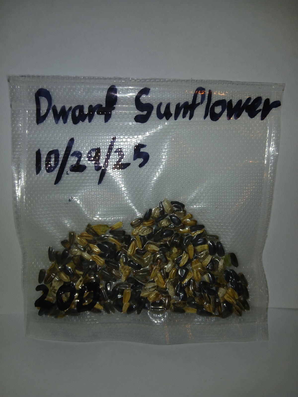 Dwarf Sunflower Seeds (400)